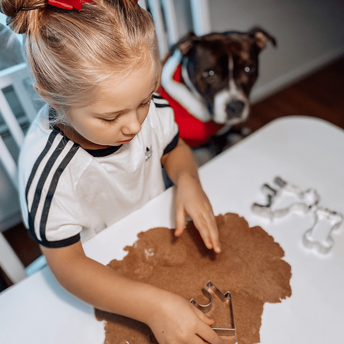 Staffordshire Bull Terrier 1935® Cookie Cutter Set