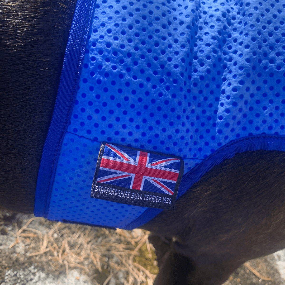 Staffordshire Bull Terrier 1935® Cooling Vest