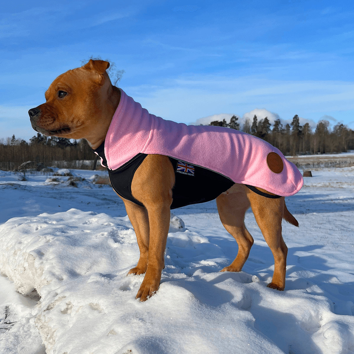 Fleece Coat Staffordshire Bull Terrier 1935®