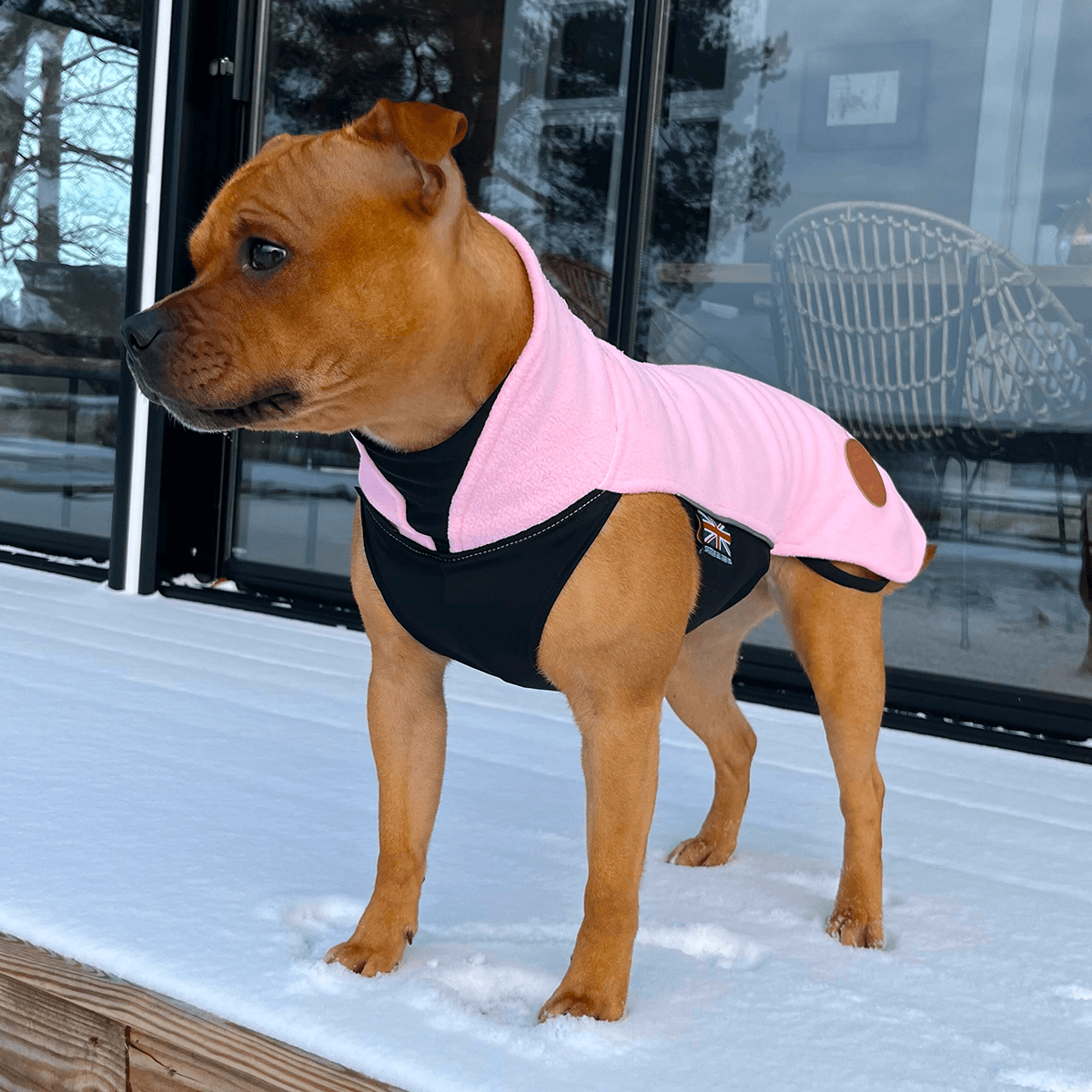 Fleece Coat Staffordshire Bull Terrier 1935®