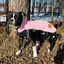 Staffordshire Bull Terrier 1935® Fleece Coat - Pink