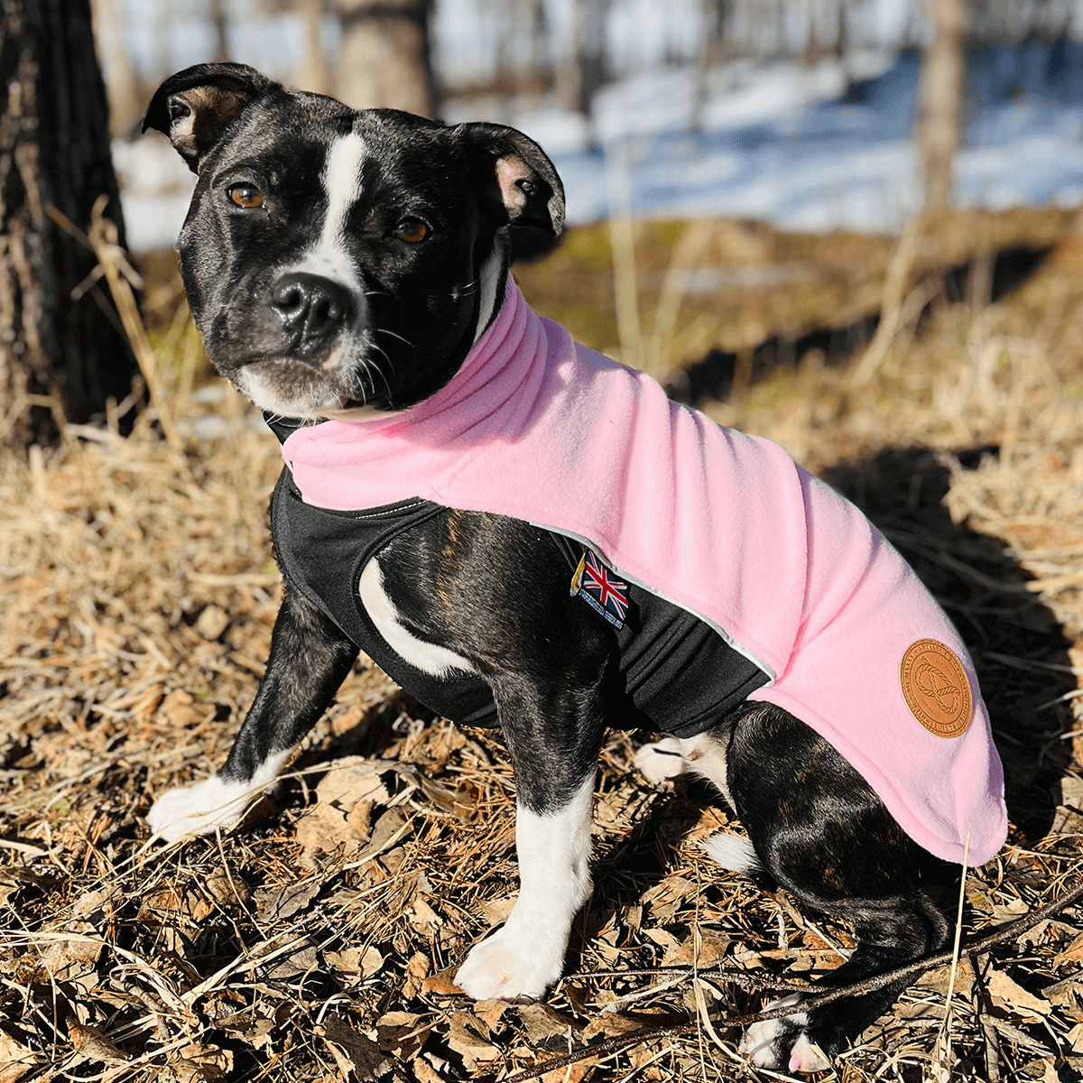 Staffordshire Bull Terrier 1935® Fleece Coat - Pink