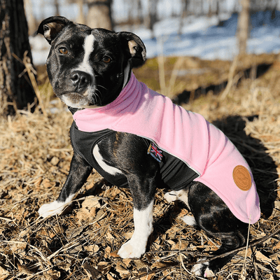 Staffordshire Bull Terrier 1935® Manteau Polaire - Bébé Rose Nouveau