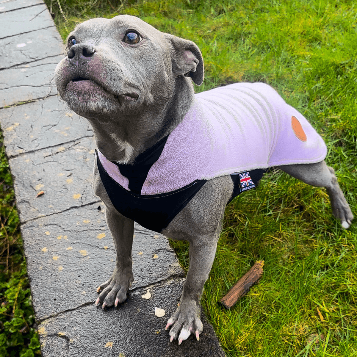 Staffordshire Bull Terrier 1935® Fleece Coat - Baby Lilac