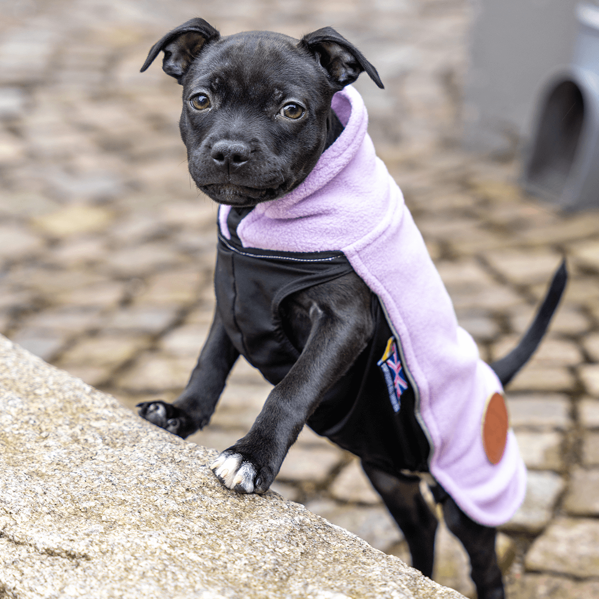 Staffordshire Bull Terrier 1935® Fleece Coat