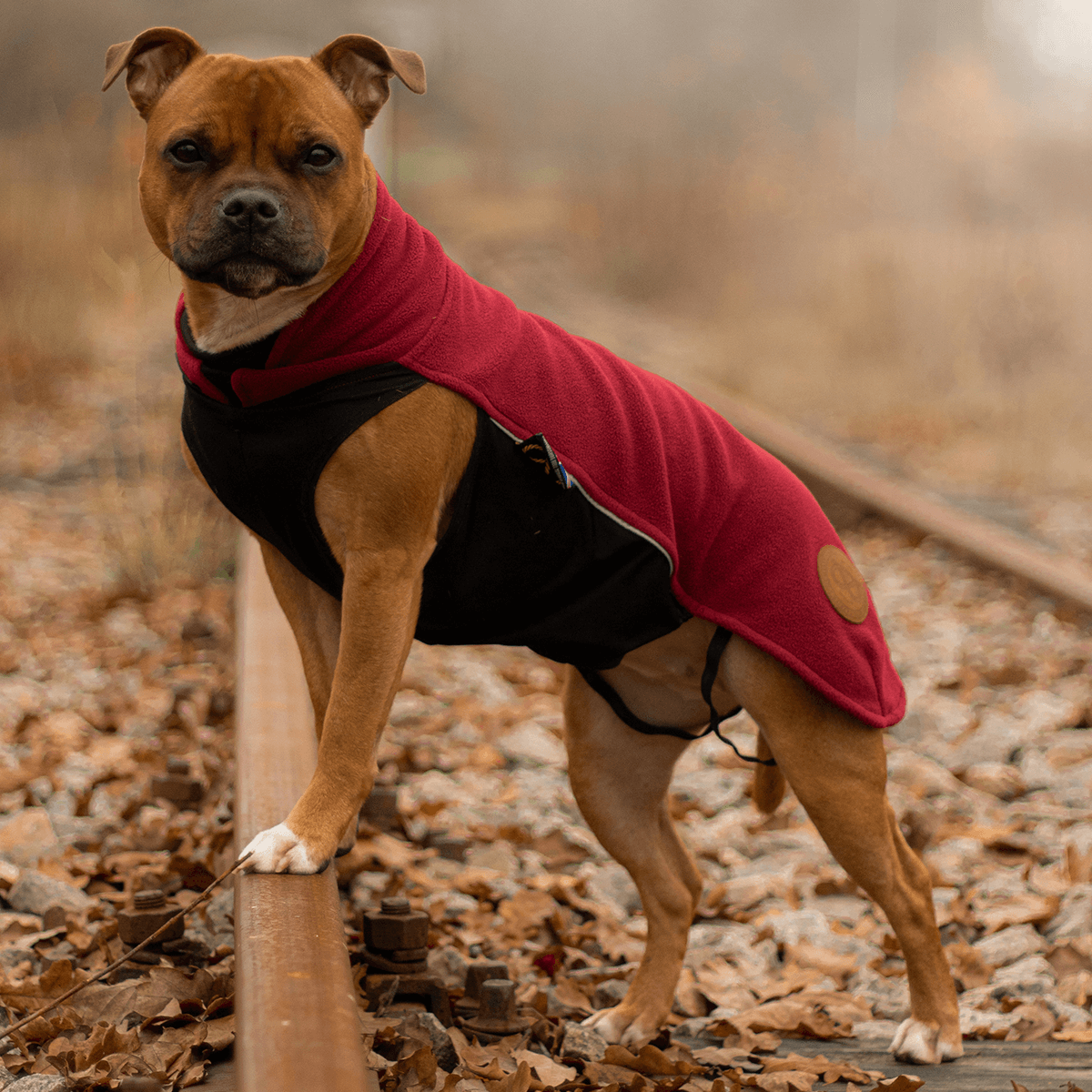 Staffy Fleece Coat - Staffordshire Bull Terrier 1935®