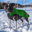 Staffordshire Bull Terrier 1935® Fleece Coat - Forest Green