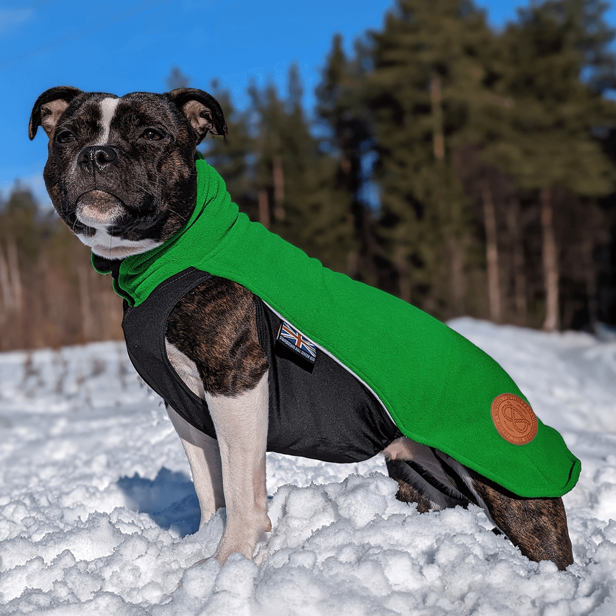 Staffordshire Bull Terrier 1935® Fleece Coat - Forest Green