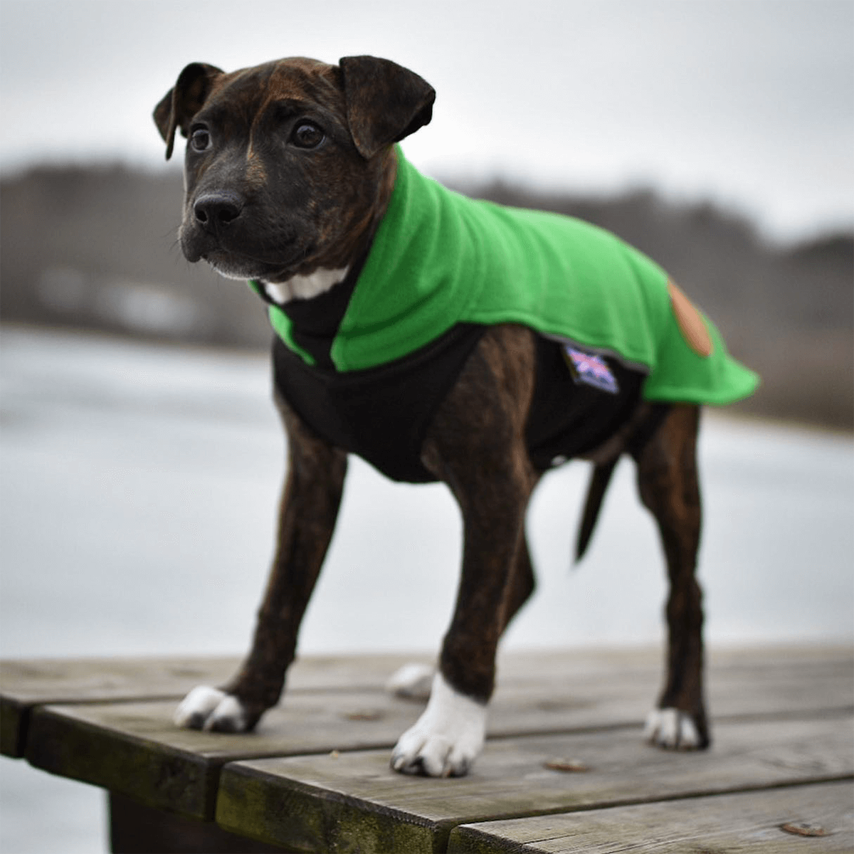 Staffordshire Bull Terrier 1935® Fleece Coat - Forest Green