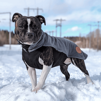 Staffordshire Bull Terrier 1935® Manteau Polaire - Gris