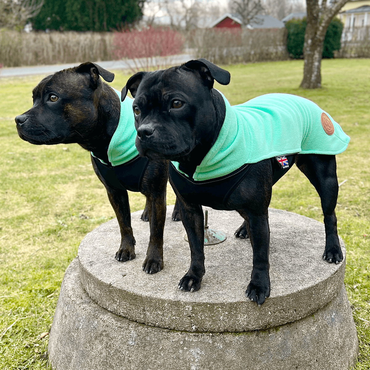 Staffy Fleece Coat - Staffordshire Bull Terrier 1935®