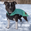 Staffordshire Bull Terrier 1935® Fleece Coat - Mint