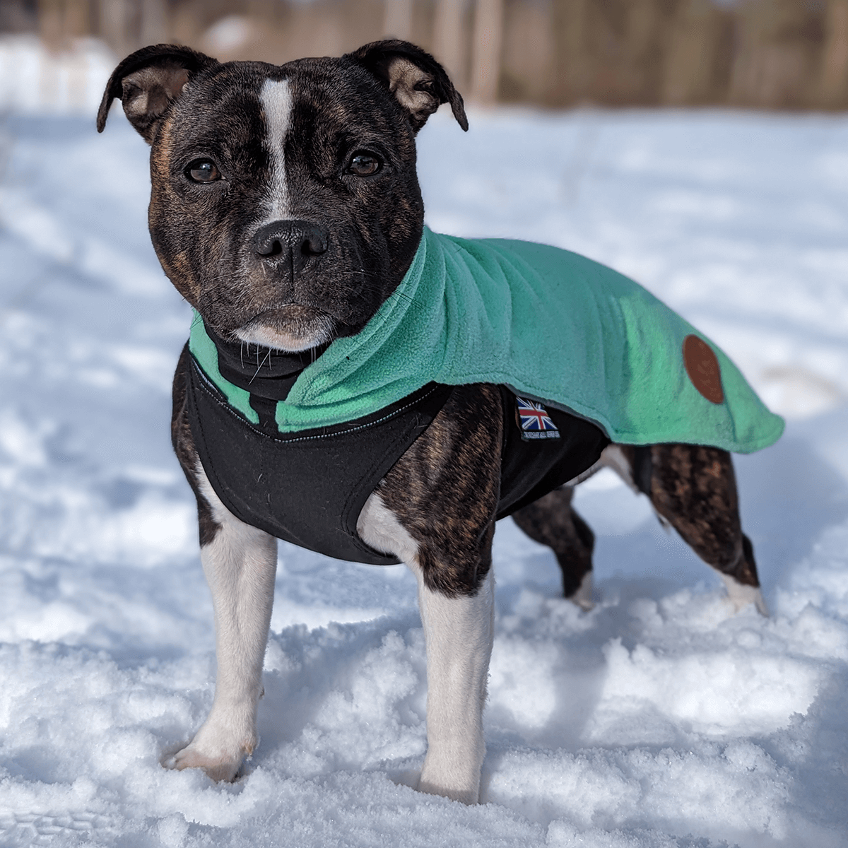 Staffordshire Bull Terrier 1935® Fleece Coat - Mint