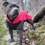 Staffordshire Bull Terrier 1935® Fleece Coat - Red