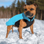 Staffordshire Bull Terrier 1935® Manteau Polaire - Bleu Corail