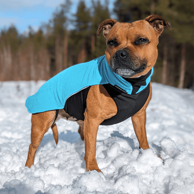 Staffordshire Bull Terrier 1935® Fleece Coat - Coral Blue