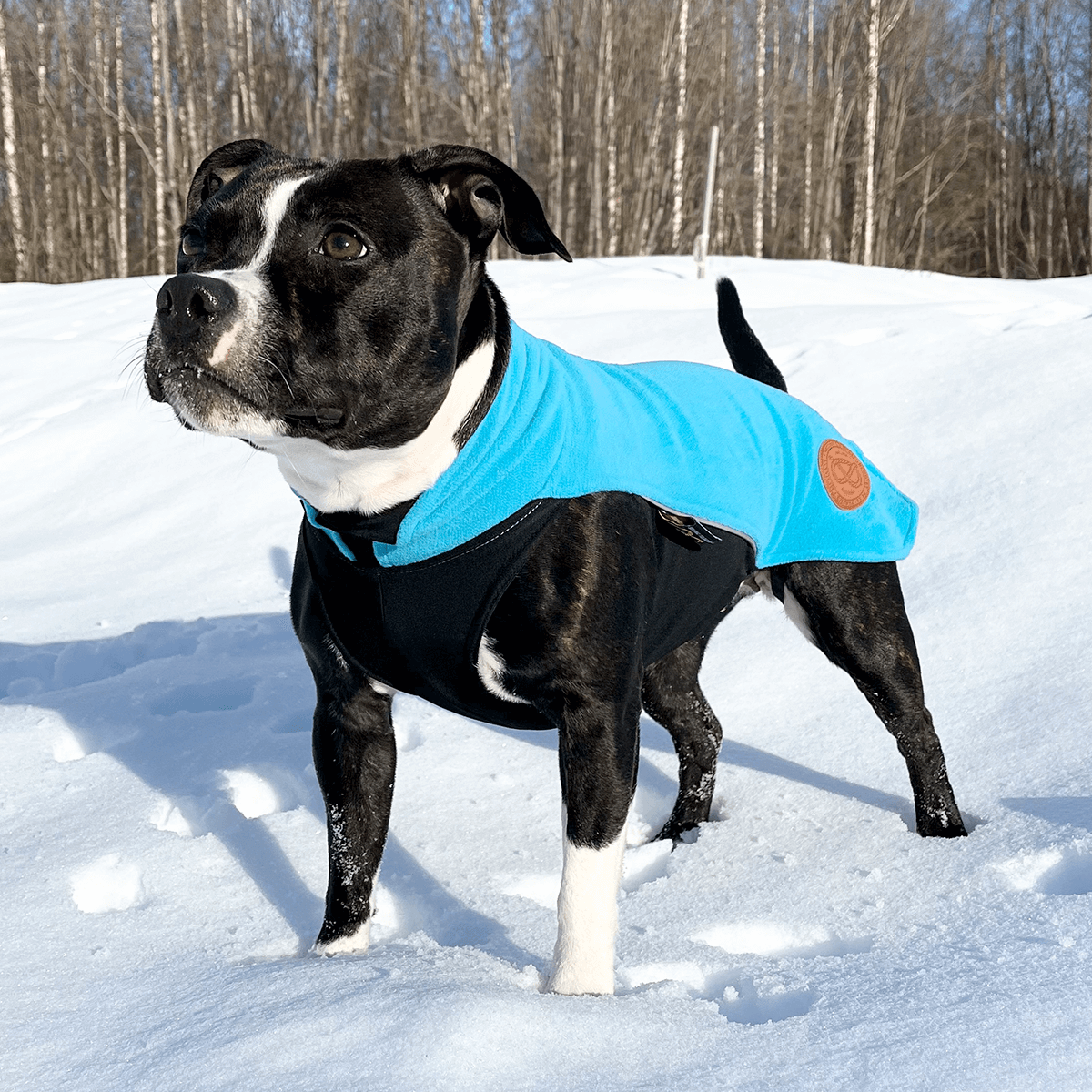 Staffordshire Bull Terrier 1935® Fleece Coat - Coral Blue