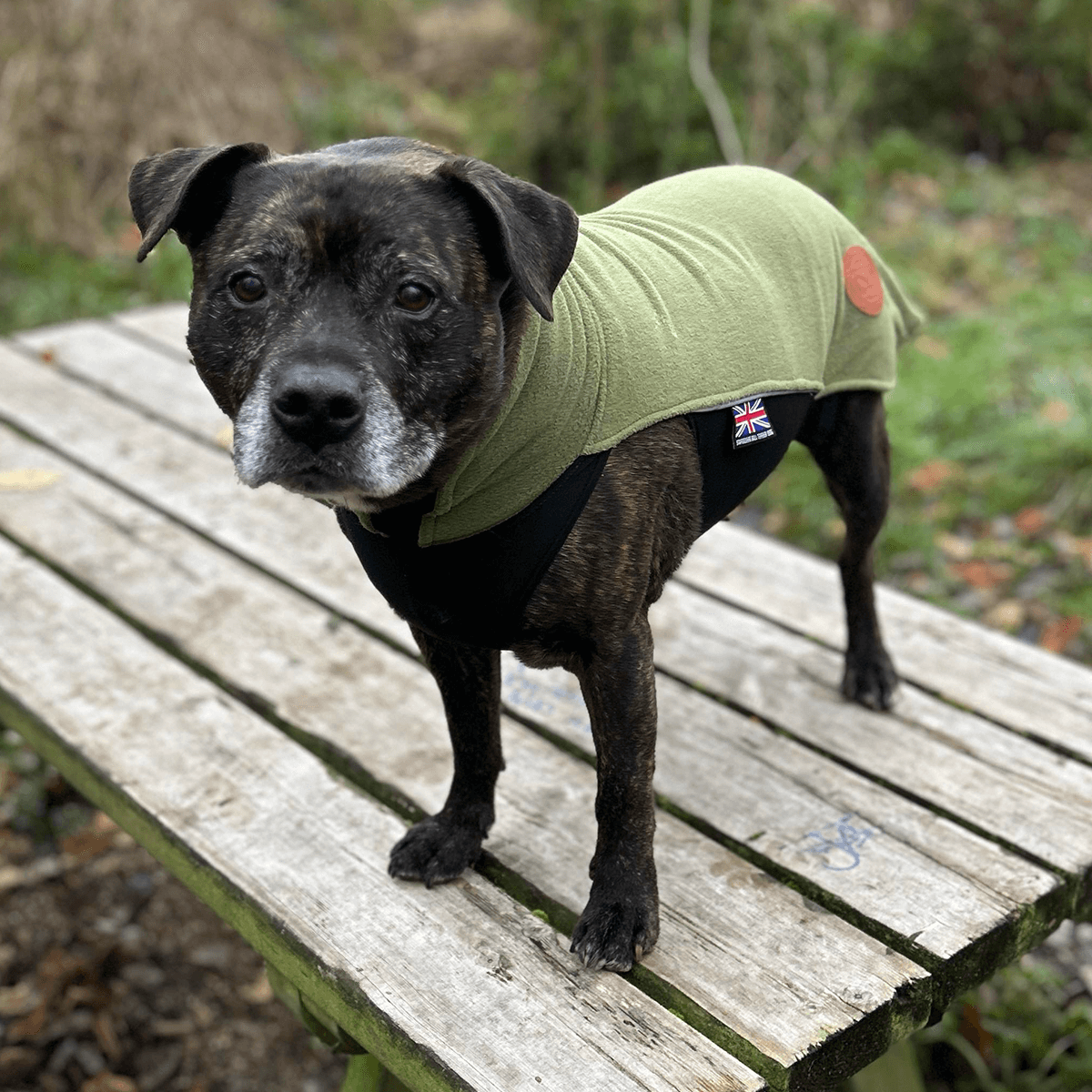 Fleece Coat Staffordshire Bull Terrier 1935®