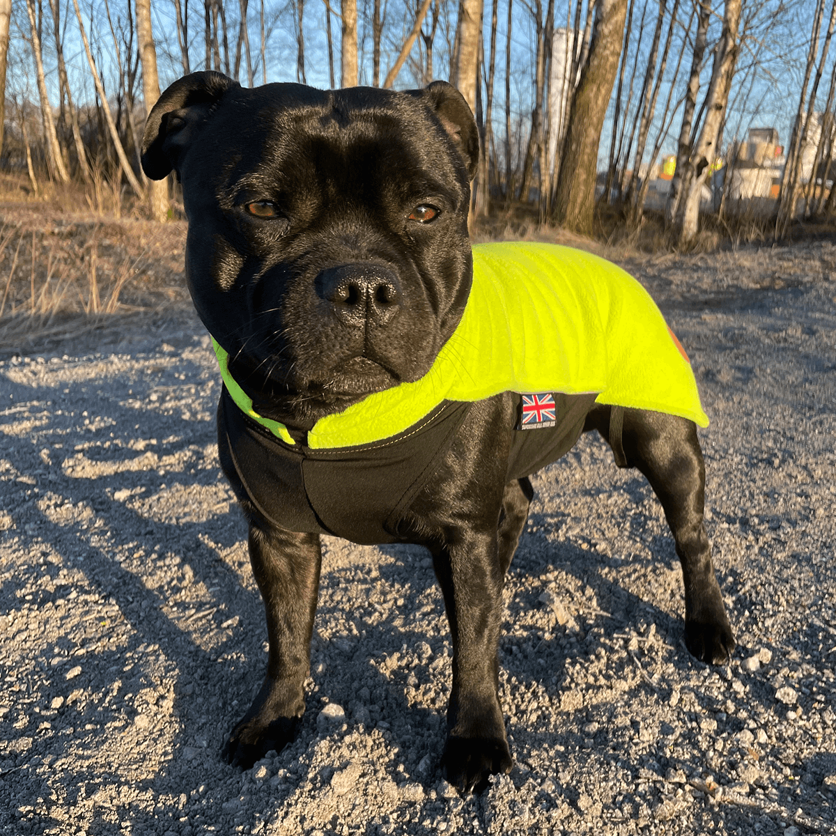 Fleece Coat Staffordshire Bull Terrier 1935®