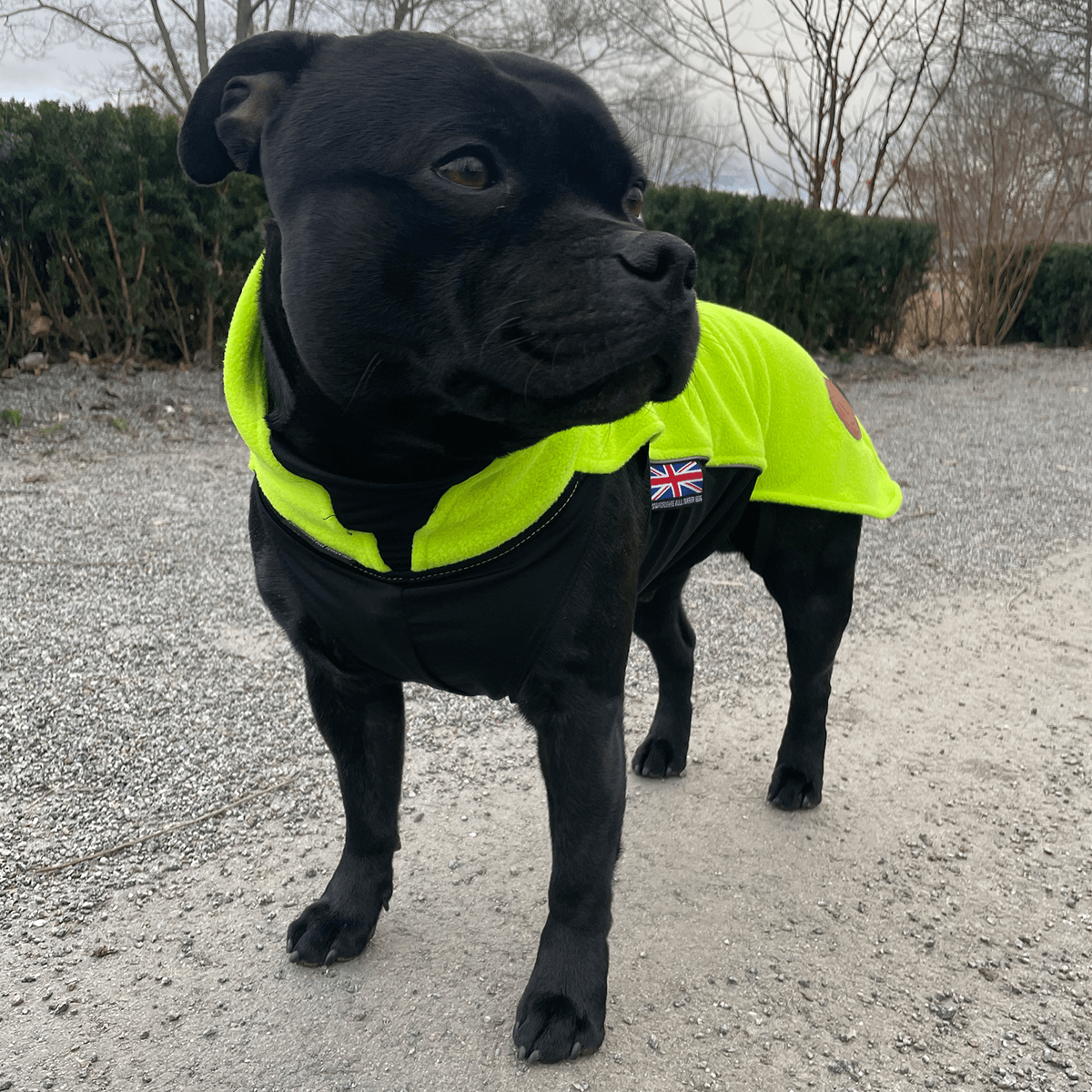 Fleece Coat Staffordshire Bull Terrier 1935®