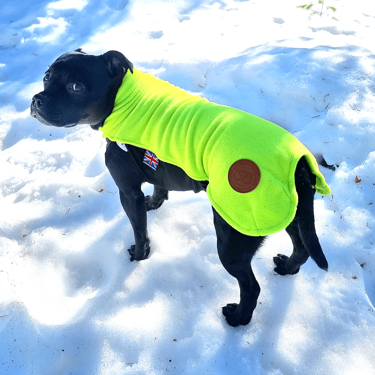 Staffordshire Bull Terrier 1935® Fleece Coat - Neon Green