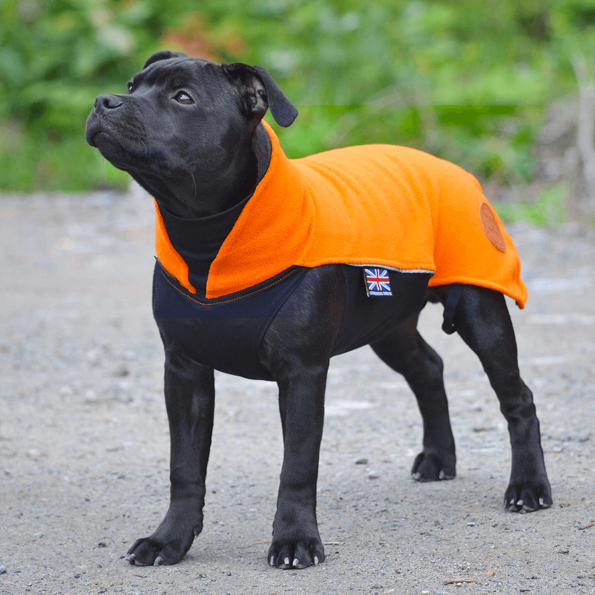 Staffordshire Bull Terrier 1935® Fleece Coat - Orange