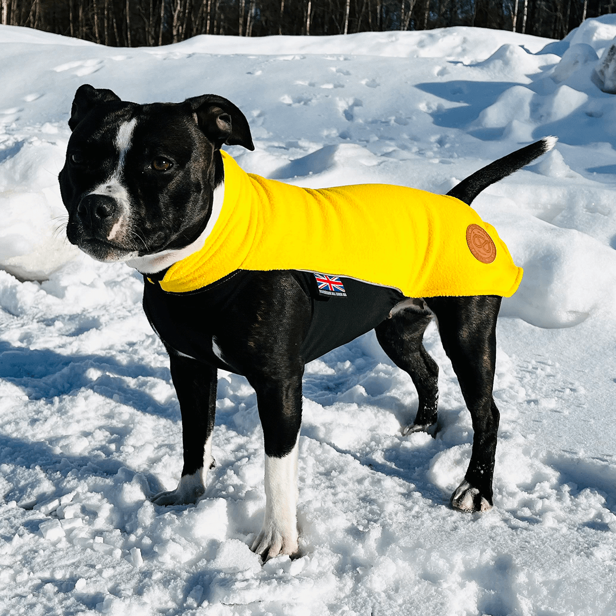 Fleece Coat - Staffordshire Bull Terrier 1935®