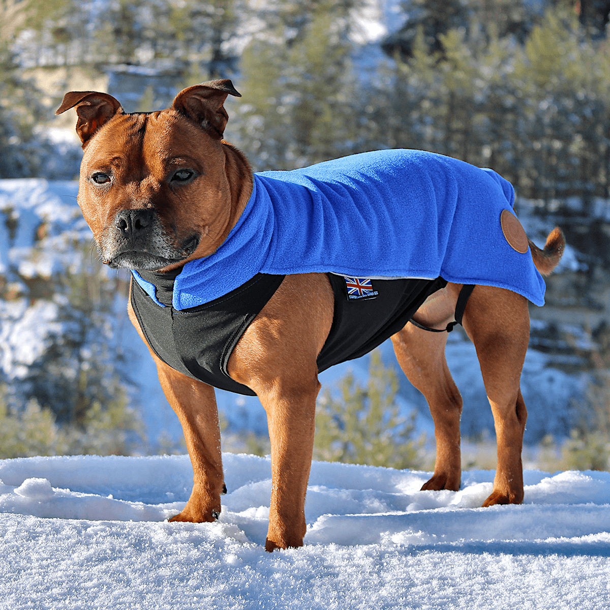 Staffy Fleece Coat - Staffordshire Bull Terrier 1935®