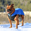 Staffy Fleece Coat - Staffordshire Bull Terrier 1935®