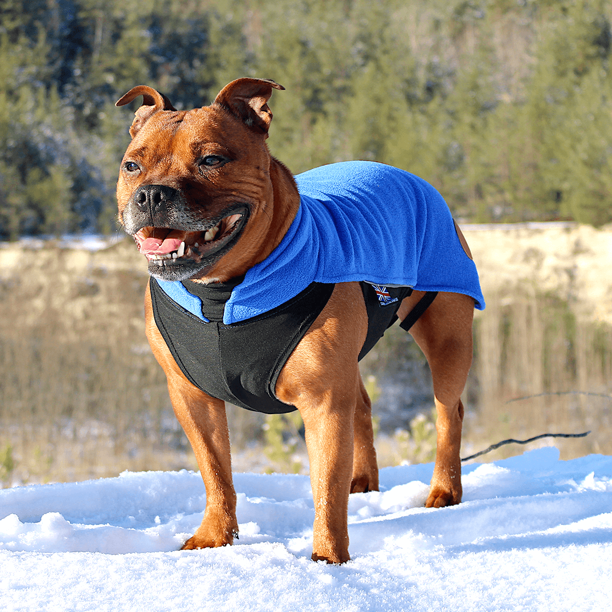 Staffy Fleece Coat - Staffordshire Bull Terrier 1935®