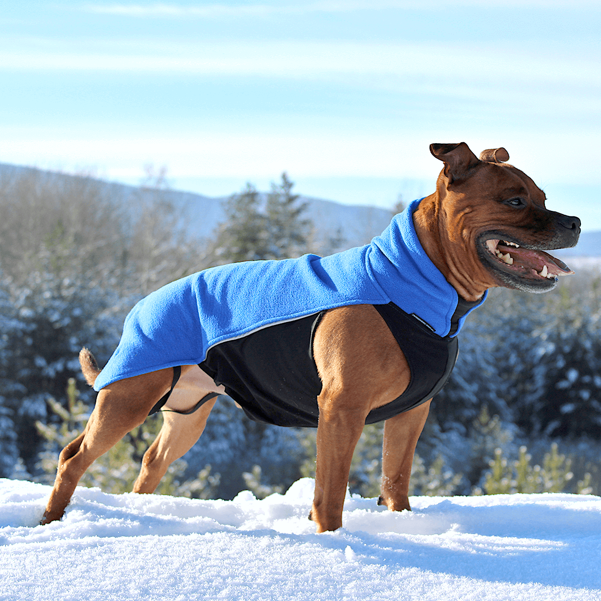 Staffy Fleece Coat - Staffordshire Bull Terrier 1935®