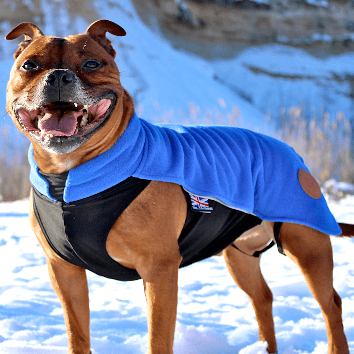 Staffy Fleece Coat - Staffordshire Bull Terrier 1935®