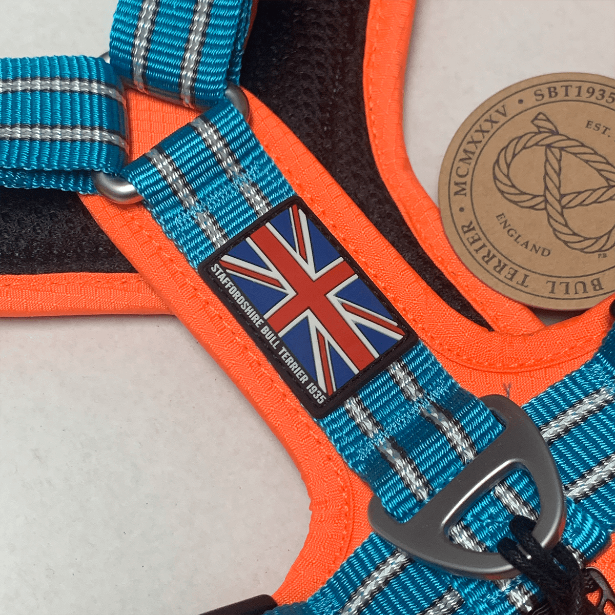 Staffordshire Bull Terrier 1935® Nylon Harness & Leash Set