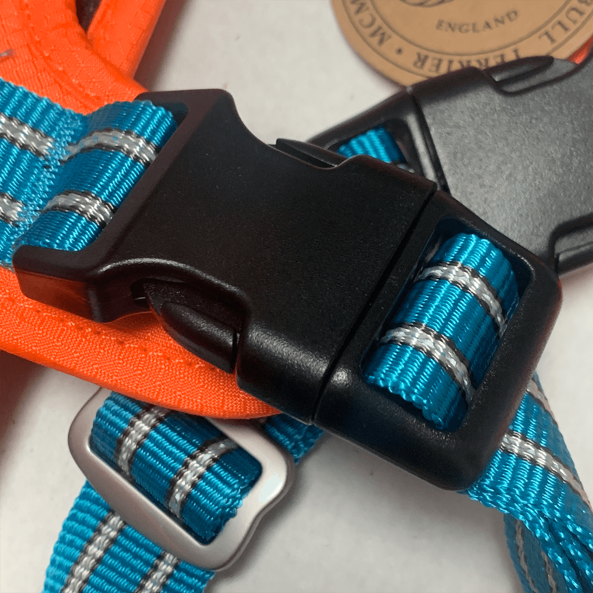 Staffordshire Bull Terrier 1935® Nylon Harness & Leash Set