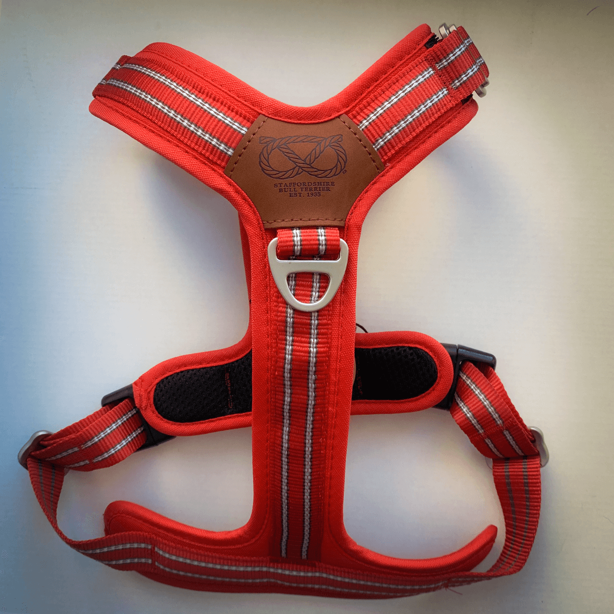 Harness Staffordshire Bull Terrier 1935®