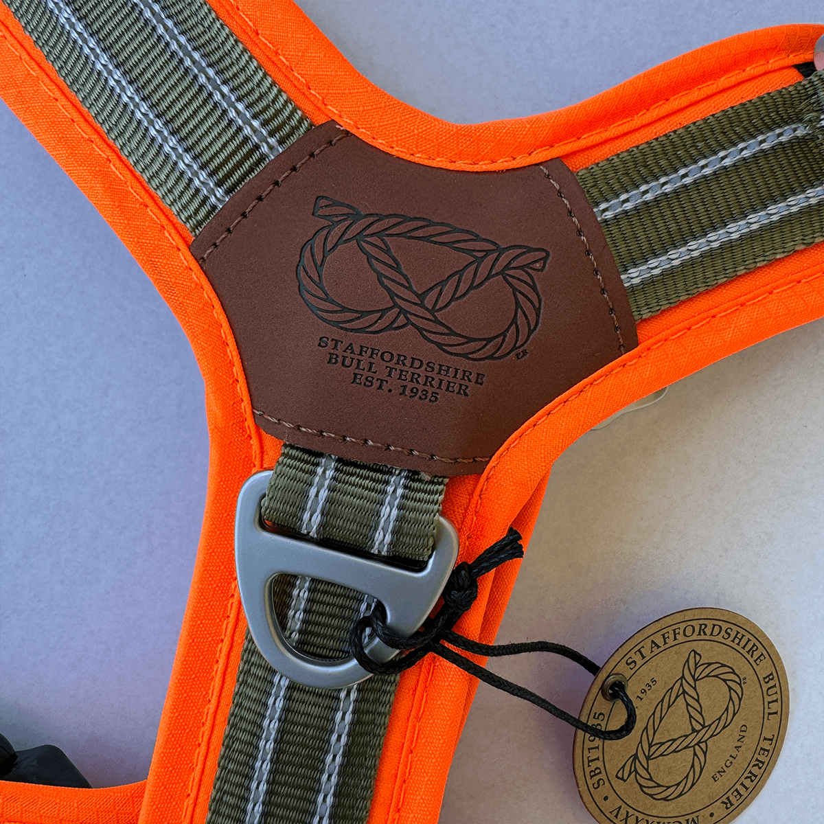 Staffordshire Bull Terrier 1935® Nylon Harness & Leash Set