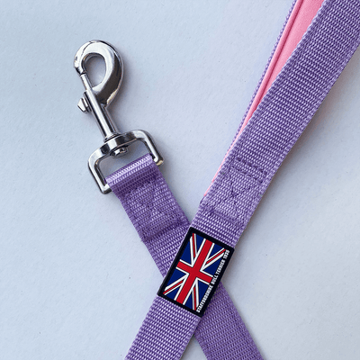 Staffordshire Bull Terrier 1935® Nylon Leash