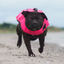 Staffordshire Bull Terrier 1935® Life Jacket - Neon Pink