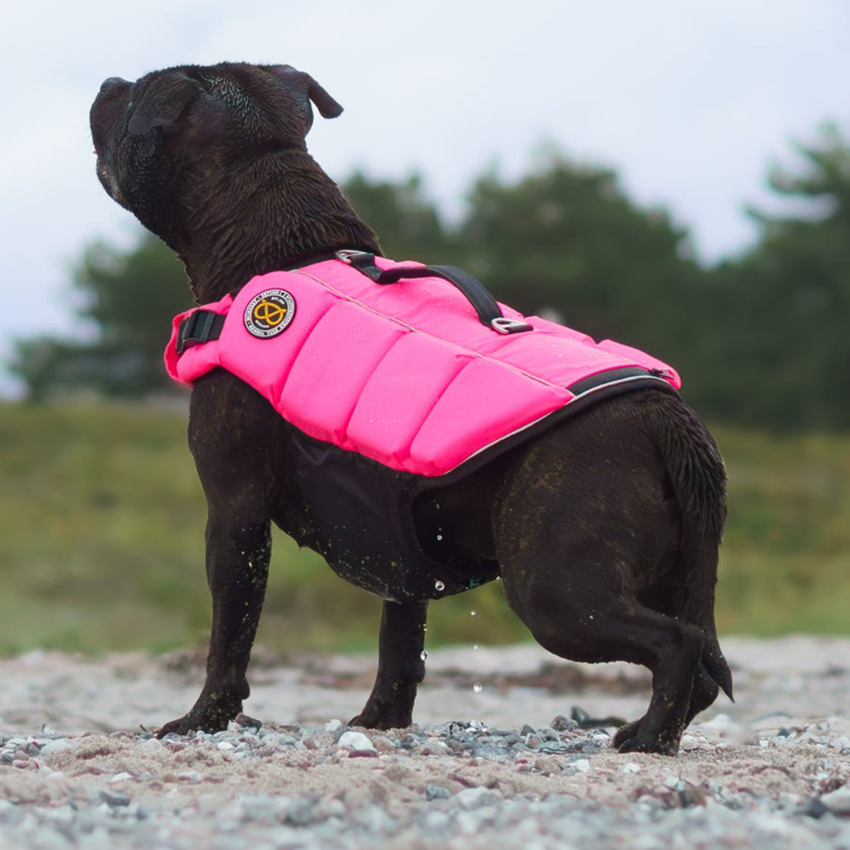 Staffordshire Bull Terrier 1935® Life Jacket - Neon Pink