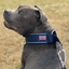 Martingale Half Choke Collar Staffordshire Bull Terrier 1935®