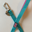 Staffordshire Bull Terrier 1935® Nylon Leash - Harley's Miami Edition - Aqua & Neon Pink - Carabiner