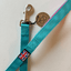 Staffordshire Bull Terrier 1935® Nylon Leash - Harley's Miami Edition - Aqua & Neon Pink - Normal