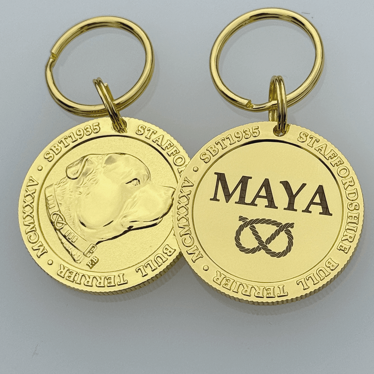 Staffy Nametag with Paracord String - Staffordshire Bull Terrier 1935®