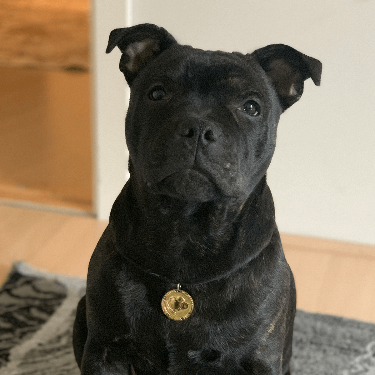 Staffy Nametag with Paracord String - Staffordshire Bull Terrier 1935®