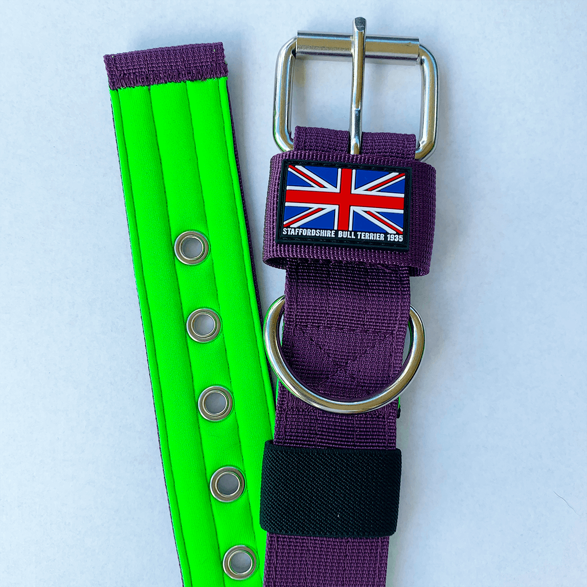 Padded Nylon Collar Staffordshire Bull Terrier 1935®