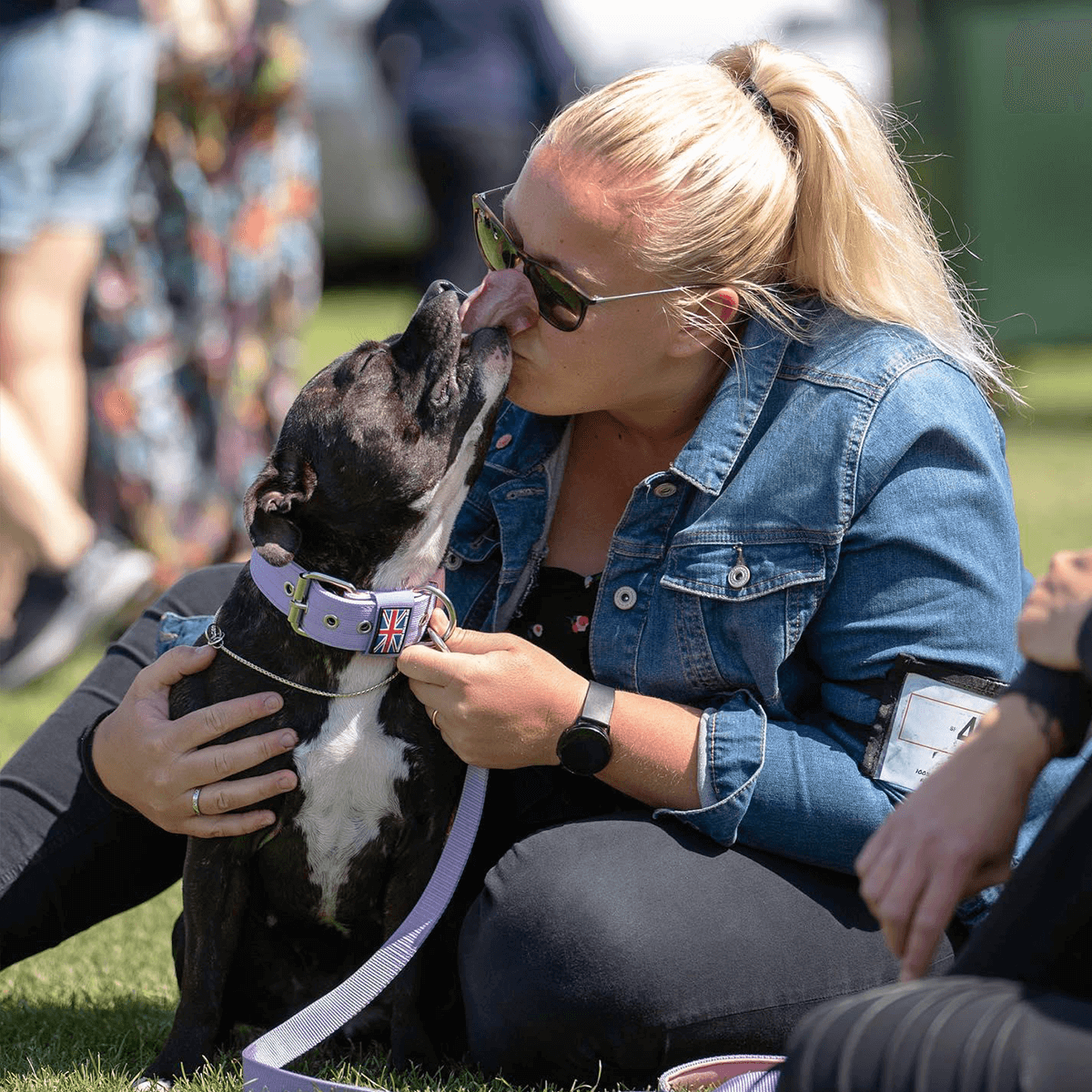 Padded Nylon Collar Staffordshire Bull Terrier 1935®