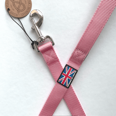 Staffordshire Bull Terrier 1935® Nylon Leash