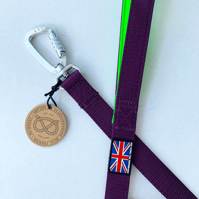 Staffordshire Bull Terrier 1935® Nylon Leash - The Joker Edition - Purple & Neon Green - Carabiner