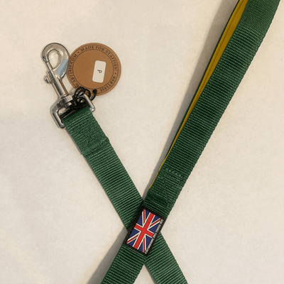 Staffordshire Bull Terrier 1935® Nylon Leash