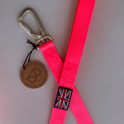 Staffordshire Bull Terrier 1935® Nylon Leash - Vibrant Neon Pink & Neon Orange - Carabiner